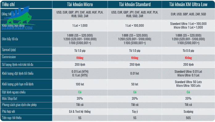 Các loại tài khoản sàn XM