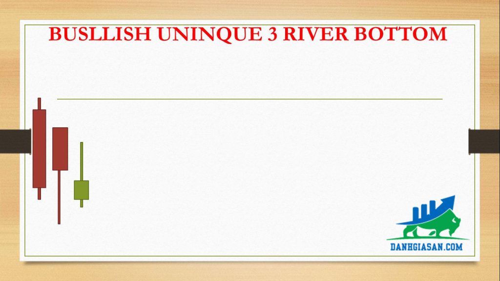 BUSLLISH UNINQUE 3 RIVER BOTTOM