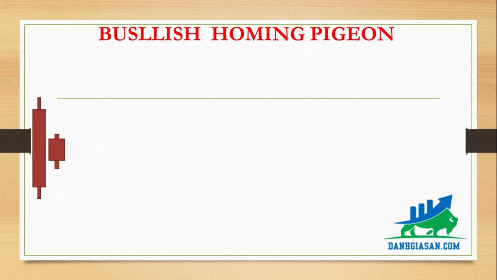 BUSLLISH HOMING PIGEON