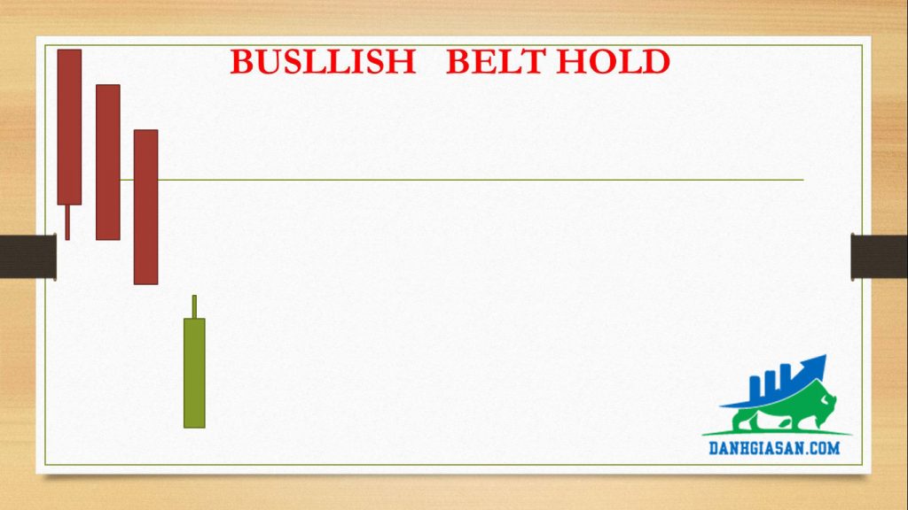 BUSLLISH BELT HOLD