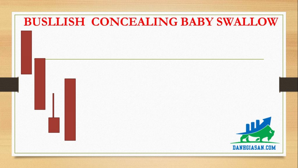 BUSLLISH CONCEALING BABY SWALLOW