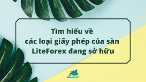 giay phep cua san liteforex