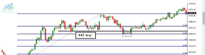 Bull trap, Bear trap là gì 