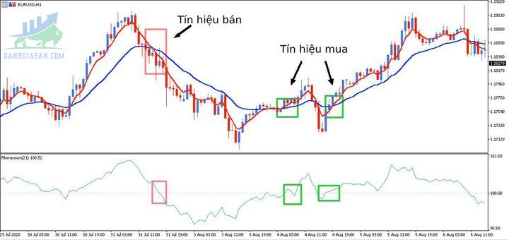 Chiến lược giao dịch với chỉ báo Momentum - Theo xu hướng