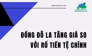 DONG DO LA TANG GIA SO VOI RO TIEN TE CHINH