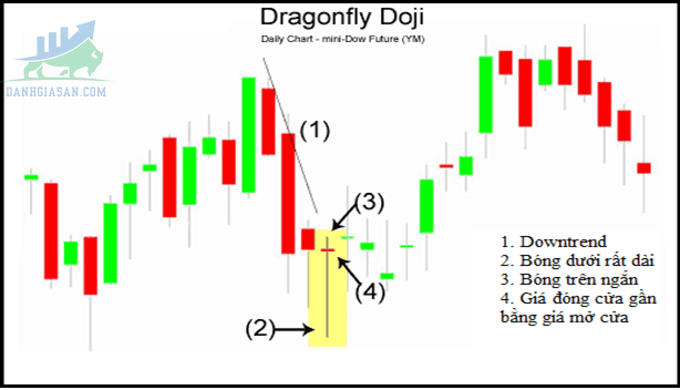 Mô hình nến đảo chiều tăng giá Dragonfly Doji