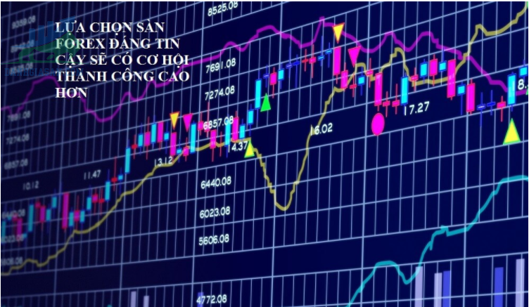 Vai trò của các loại giấy phép về sàn Forex