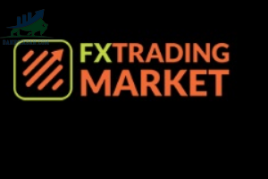 Fx Trading Market