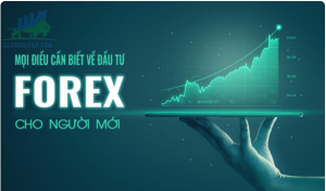 Đầu tư Forex cho người chơi mới