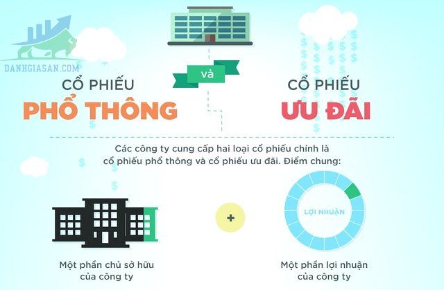 Có những loại cổ phiếu nào trên thị trường