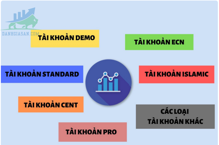 Có những loại tài khoản Forex nào trong giao dịch ngoại hối?