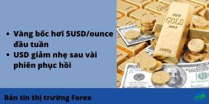 Bản tin thị trường Forex