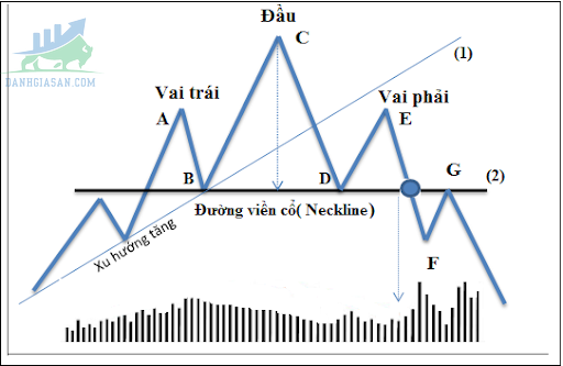 Mô hình vai đầu vai là gì?