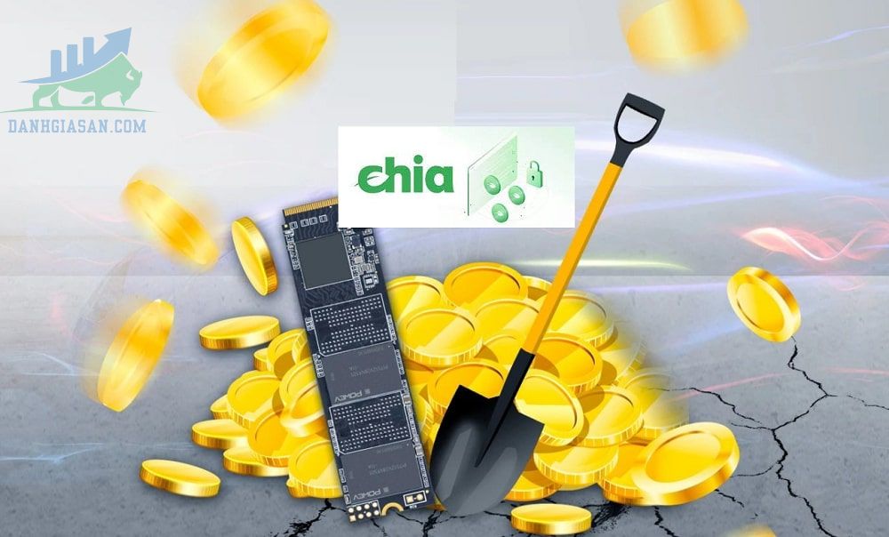 Có nên mua chia coin không?