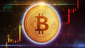 Bitcoin giảm mạnh gần 50% so với mức cao nhất của năm