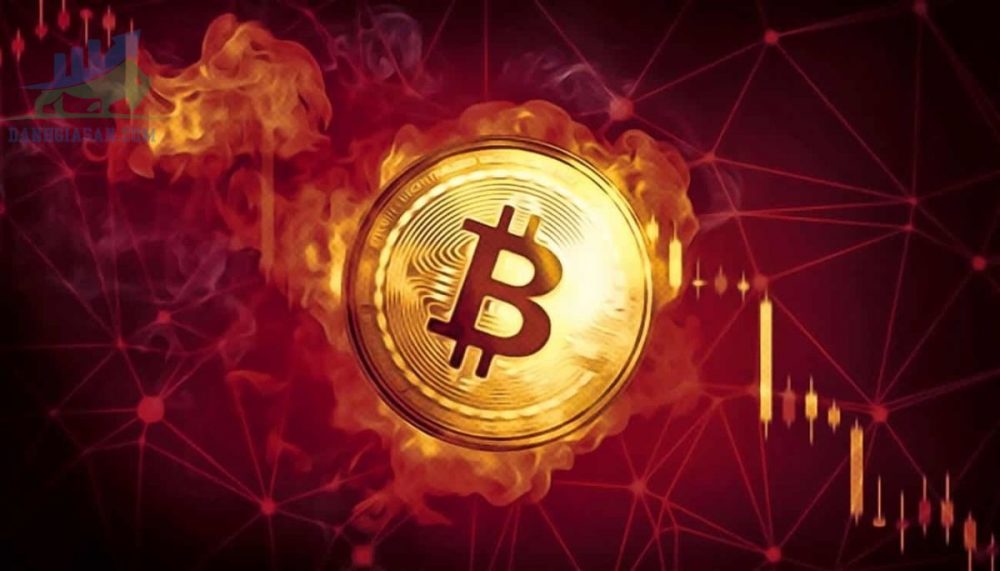 Bitcoin giảm mạnh gần 50% so với mức cao nhất của năm ngày 24/05/2021