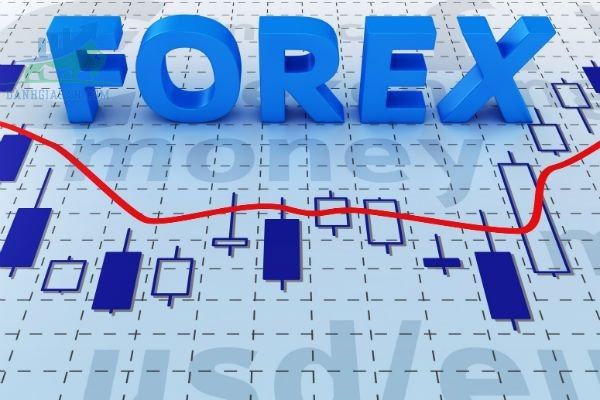 Tổng hợp các thuật ngữ trong Forex