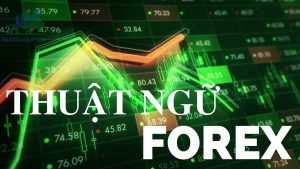 Tổng hợp các thuật ngữ trong Forex