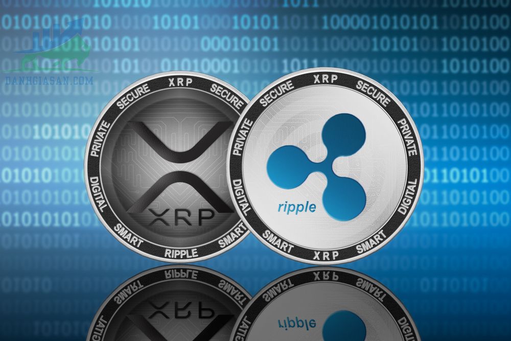 Tìm hiểu về Ripple