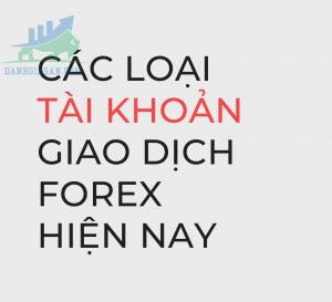 Lựa chọn tài khoản để giao dịch Forex cho trader mới