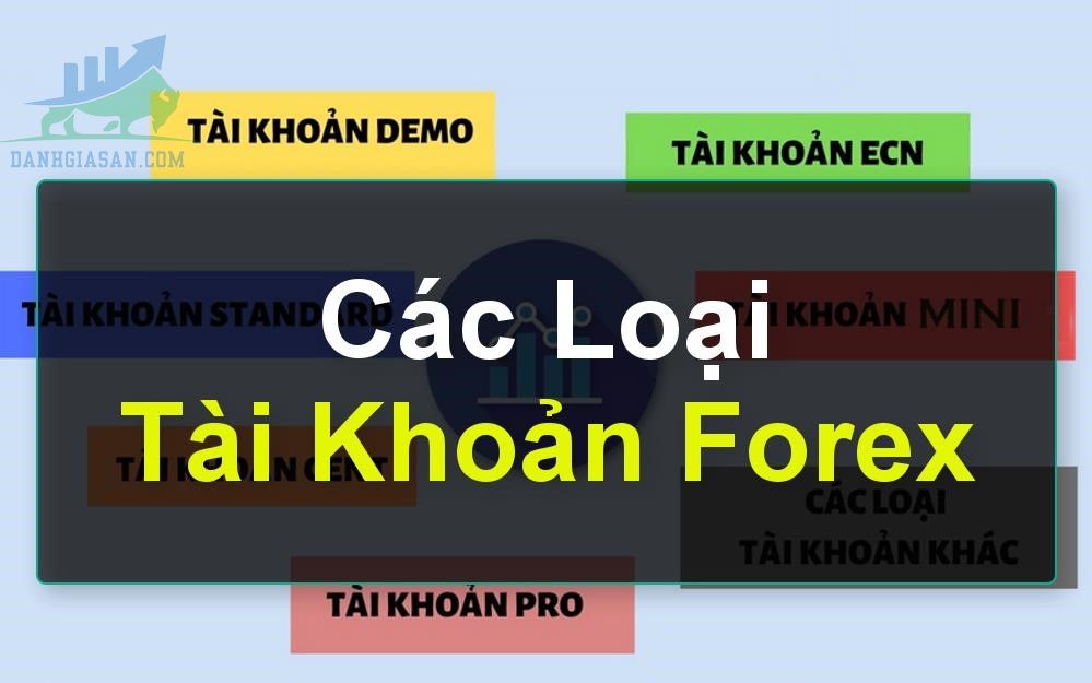 Tài khoản Forex là gì?