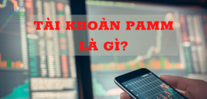 Tài khoản PAMM là gì? Những lợi ích và tiêu chí lựa chọn tài khoản PAMM như thế nào?