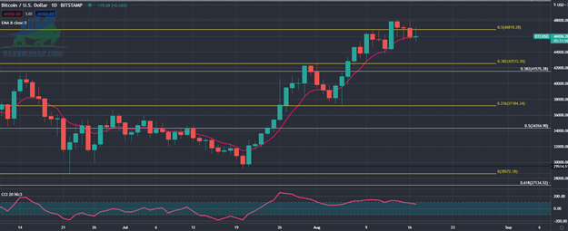 Biểu đồ hàng ngày của Bitcoin (BTC / USD)