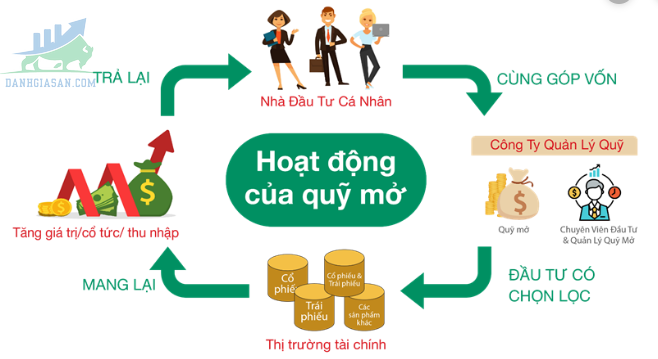 Qũy đầu tư là gì?