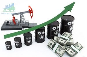 Giá dầu tăng do đặt cược OPEC + sẽ kìm hãm sản lượng tăng - ngày 30/11/2021