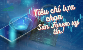 Tiêu chí quan trọng nhất để lựa chọn một sàn Forex?