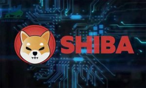 Shiba coin là gì? Tổng quan về dự án shiba coin