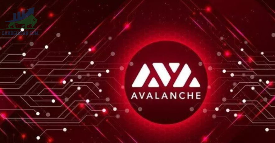 Hệ sinh thái của Avalanche là gì?