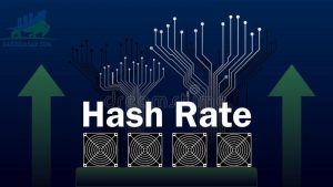 Tìm hiểu Hashrate là gì? Tầm quan trọng của Hashrate trong tiền điện tử