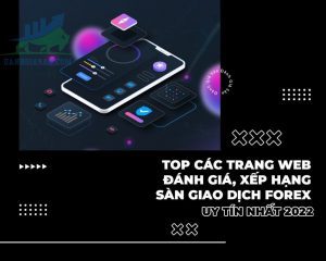 Top 5 trang web đánh giá sàn Forex uy tín đánh tin cậy hiện nay