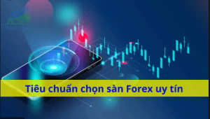 Những tiêu chí quan trọng đánh giá sàn Forex uy tín