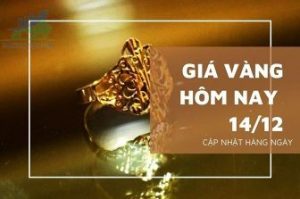 Cập nhật giá vàng trong và ngoài nước, vàng có sự chuyển biến tích cực - ngày 14/12/2022