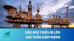 Dầu đảo chiều đi lên sau tuần giảm mạnh