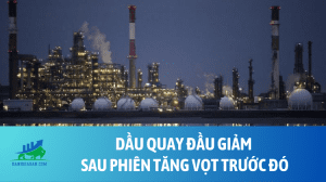 Dầu quay đầu giảm sau phiên tăng vọt trước đó