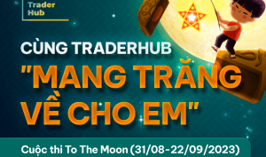 TRADERHUB 1