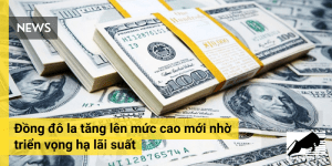 Đồng đô la tăng lên mức cao mới nhờ triển vọng hạ lãi suất