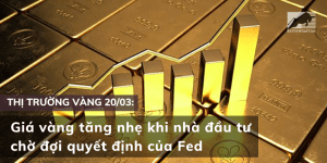 Giá vàng tăng nhẹ khi nhà đầu tư chờ đợi quyết định của Fed