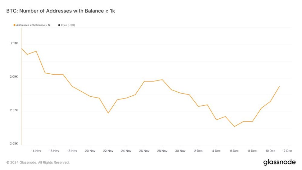 Bieu do gia cua Bitcoin