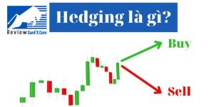 Hedging Forex là gì? Phương pháp Hedging Forex hiệu quả nhất