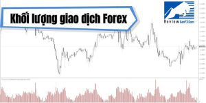 Khối lượng giao dịch Forex là gì? Cách sử dụng khối lượng để giao dịch Forex