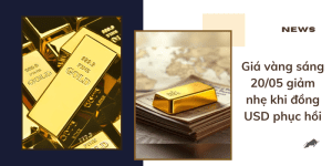 Giá vàng sáng 20/05 giảm nhẹ khi đồng USD phục hồi