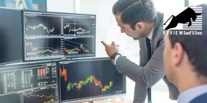 Hành Trình Từ Người Mới Trở Thành Chuyên Gia Forex Trong 30 Ngày