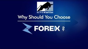 Lý do chọn Forex - Tại sao nhiều nhà đầu tư ưa chuộng thị trường ngoại hối?