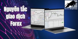 5 nguyên tắc giao dịch Forex tối thượng cho F0 để “sống sót” trên thị trường