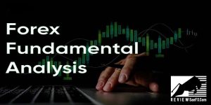 Phân tích cơ bản Forex và những yếu tố quan trọng cần nắm