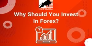Tại Sao Bạn Nên Đầu Tư Vào Forex Ngay Hôm Nay?